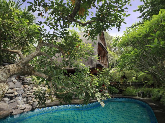 This image has an empty alt attribute; its file name is homestay-kulonprogo.jpg