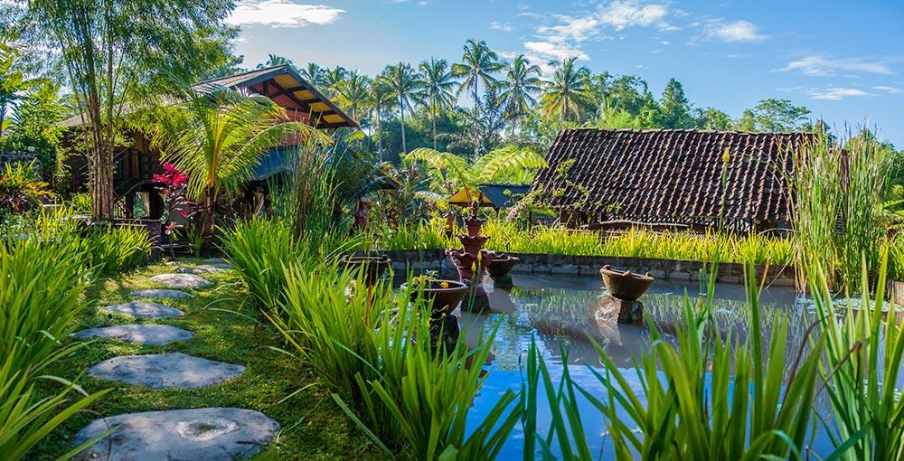 desa wisata kembang arum